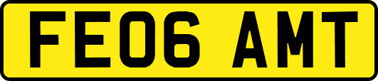 FE06AMT