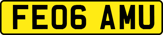 FE06AMU