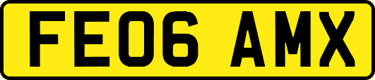 FE06AMX