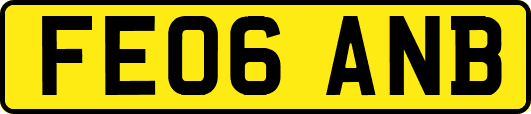 FE06ANB