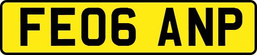 FE06ANP