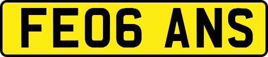 FE06ANS