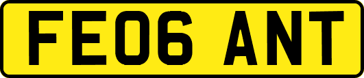 FE06ANT