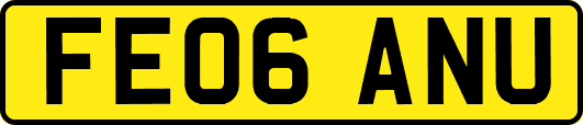 FE06ANU
