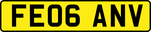 FE06ANV