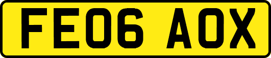 FE06AOX
