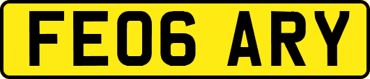FE06ARY
