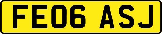 FE06ASJ