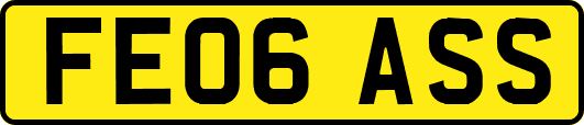 FE06ASS