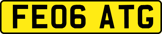 FE06ATG