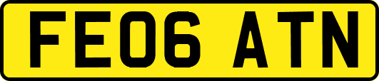 FE06ATN