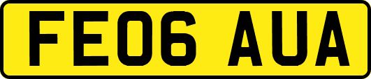 FE06AUA