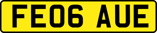 FE06AUE