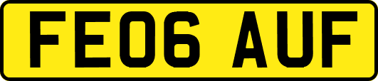 FE06AUF