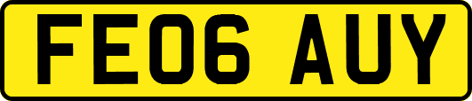 FE06AUY
