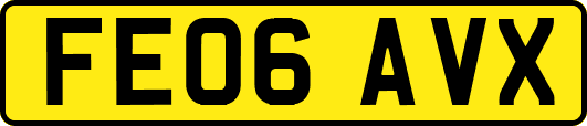 FE06AVX