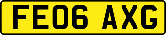 FE06AXG
