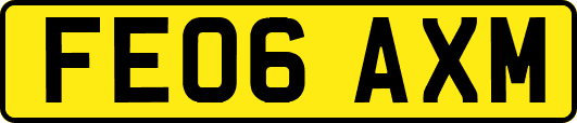 FE06AXM