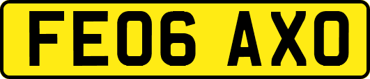FE06AXO