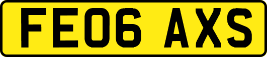 FE06AXS