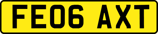 FE06AXT