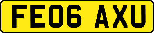 FE06AXU