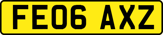 FE06AXZ