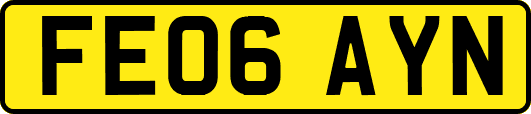 FE06AYN