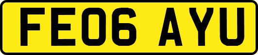 FE06AYU