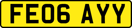 FE06AYY