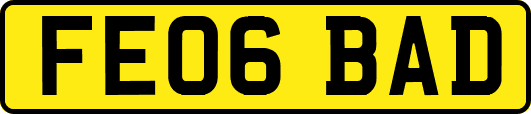 FE06BAD