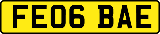 FE06BAE