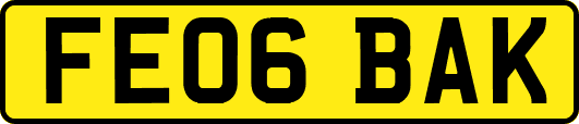 FE06BAK