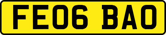 FE06BAO