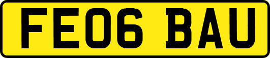 FE06BAU
