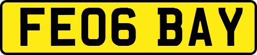 FE06BAY