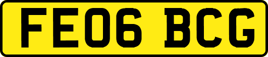 FE06BCG