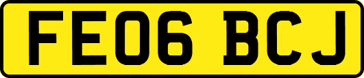 FE06BCJ