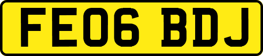 FE06BDJ