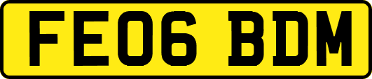 FE06BDM