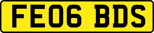 FE06BDS