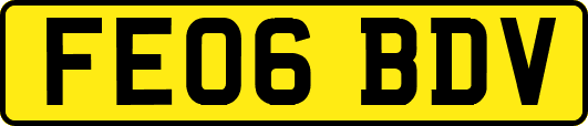 FE06BDV