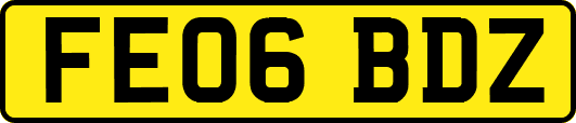 FE06BDZ