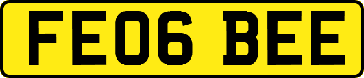 FE06BEE
