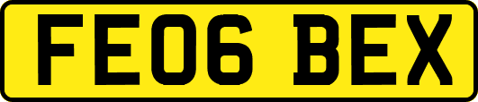 FE06BEX