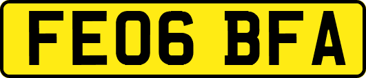 FE06BFA