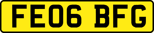 FE06BFG