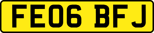 FE06BFJ