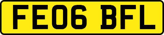 FE06BFL