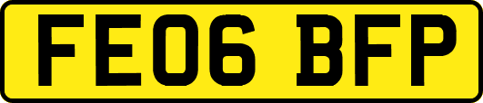 FE06BFP